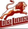 Lida lion’s