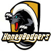 Minsk Honey Badgers 